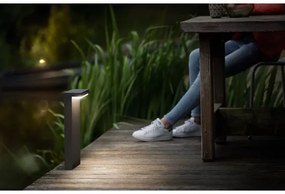 Philips - LED Vonkajšia lampa BUSTAN LED/3,8W/230V 40 cm IP44