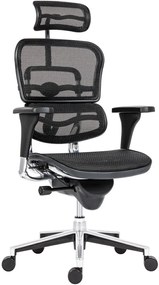 Kancelárska ergonomická stolička ERGOHUMAN — sieť, čierna, nosnosť 150 kg