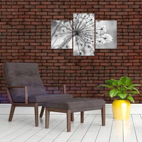 Obraz - Kvetina v zime (90x60 cm)