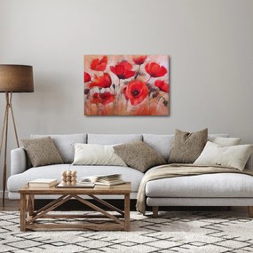 Obraz - Vlčie maky (70x50 cm)