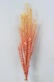 Lososová penová tráva s bobuľkami 80cm