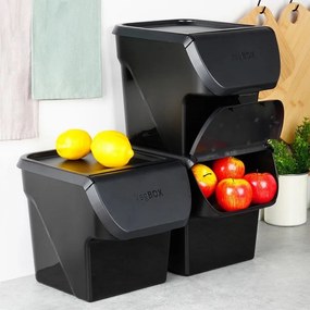 VILDE Úložný box na zemiaky a cibuľu s vetraním, VEGBOX čierny (14l - 10kg zemiakov)