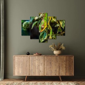 Obraz chameleóna (150x105 cm)