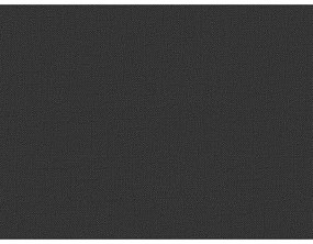 Čierna čalúnená dvojlôžková posteľ s úložným priestorom s roštom 200x200 cm Elizabeth – Micadoni