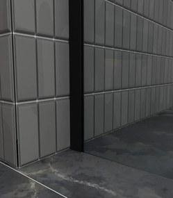 Erga Paris, sprchová zástena Walk-In 120x200 cm, 8mm číre/mliečne sklo, čierny profil, ERG-V02-PARIS-120x200-MF-BK
