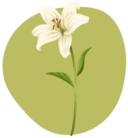 PIPPER. Textilná nálepka na stenu "Ľalia"