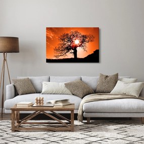 Obraz - Dub pri západe slnka (90x60 cm)