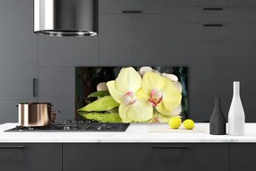 Sklenený obklad Do kuchyne Okvetné plátky orchidea 140x70 cm