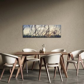 Obraz lúčnych kvetov (s hodinami) (90x30 cm)