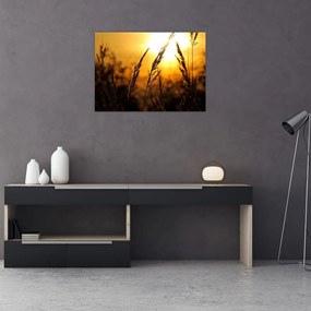 Sklenený obraz zapadajúceho slnka (70x50 cm)
