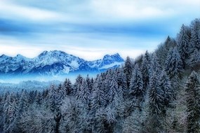 Fototapeta zamrznuté hory - 450x300