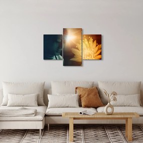 Obraz - Mier (90x60 cm)