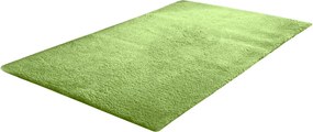 TZ Zelený obdĺžnikový koberec Alpaka Rozmer: 80x150 cm