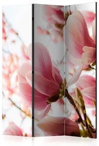Paraván - Pink magnolia [Room Dividers] Veľkosť: 135x172, Verzia: Jednostranný