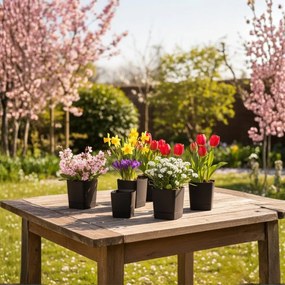 Plastový květináč s podmiskou Cubi 16x16 cm - výber z 6 prevedení