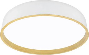 XXXLutz STROPNÉ LED SVIETIDLO, 40/8 cm - Interiérové svietidlá - 004182003801