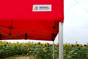 BRIMO Svadobný stan 4x8m - s 3 stenami - Červená 18