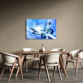 Obraz - Motýľ, symbol nádeje (90x60 cm)