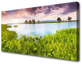 Obraz Canvas Tráva jazero príroda 120x60 cm