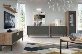 TV stolík Bergen BRTV154 - dub Jackson Hickory / grafit / čierna