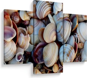 Obraz mušlí (90x60 cm)