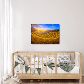 Obraz - Ryžové terasy vo Vietname (70x50 cm)
