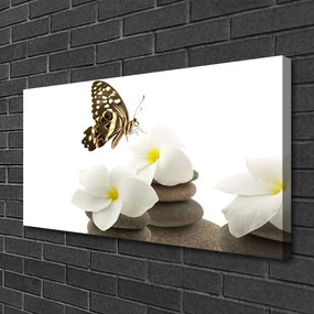 Obraz Canvas Motýľ kvet kamene rastlina 125x50 cm