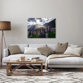 Obraz - Scenérie vlčích bôbov (70x50 cm)