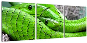 Obraz zelených hadov (s hodinami) (90x30 cm)