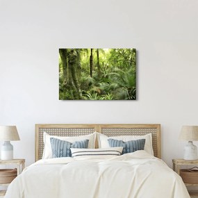 Obraz Tropický dažďový prales (90x60 cm)