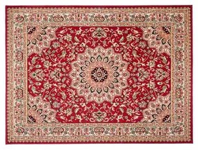 Kusový koberec PP Ezra červený 100x200cm