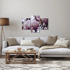 Obraz - Magnolie (90x60 cm)