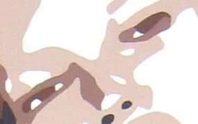 Ručne maľovaný POP Art obraz Kate Moss | rôzne rozmery