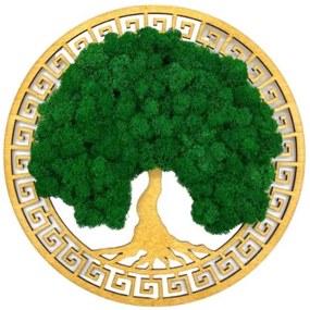 Strom na stenu z machu Olympus 30 cm