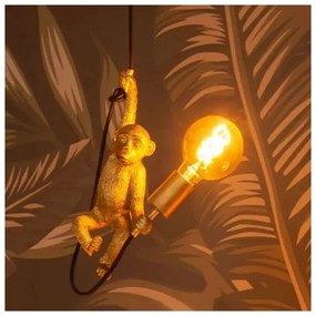 Lucide 10202/01/30 - Nástenné svietidlo EXTRAVAGANZA CHIMP 1xE27/60W/230V