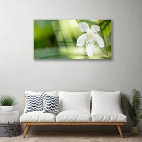 Obraz na akrylátovom skle Kvet listy 100x50 cm
