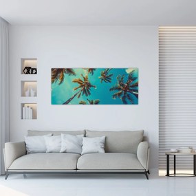 Obraz - Vysoké palmy (120x50 cm)