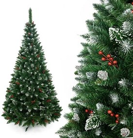 Vianočný stromček Borovica diamantová s jarabinou 180 cm