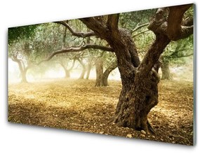 Obraz na akrylátovom skle Strom tráva príroda 125x50 cm