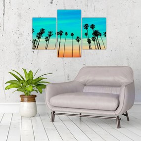 Obraz - Kalifornia (90x60 cm)