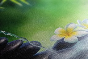 Obraz harmónia v Zen záhrade Varianta: 120x80