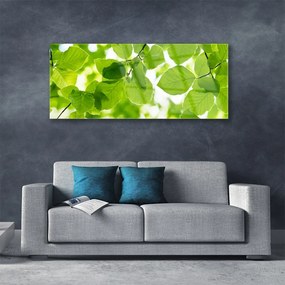 Obraz na akrylátovom skle Listy príroda rastlina 125x50 cm