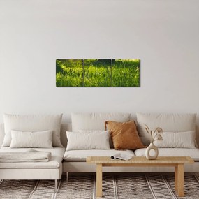 Obraz prírody - lúka (s hodinami) (90x30 cm)