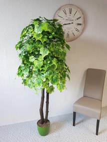 Hrozno zelené 180 cm