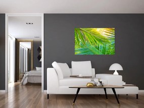 Obraz - Palmové listy (90x60 cm)