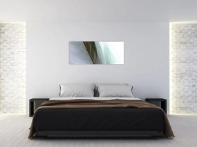 Obraz - Perie, makro (120x50 cm)