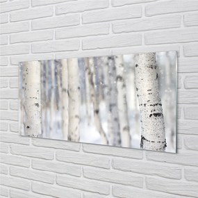 Obraz plexi Stromy v zime sneh 100x50 cm