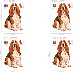 Basset hound s loptičkou a kosťou realistické nálepky na stenu do obývačky arch 31 x 46 cm