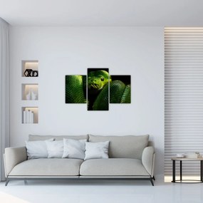 Obraz - Zelený had (90x60 cm)