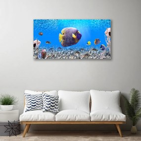 Obraz na plátne Ryba príroda 100x50 cm